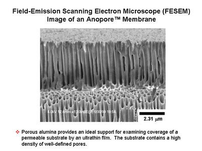 Field-Emission scanning electron microscope (FESEM) image of an Anopore Membrane