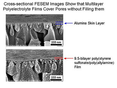 Cross-sectional FESEM Images show that Multilayer Polyelectrolyte films cover pores without filling them