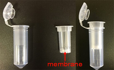 Image of spin membranes for protein purification